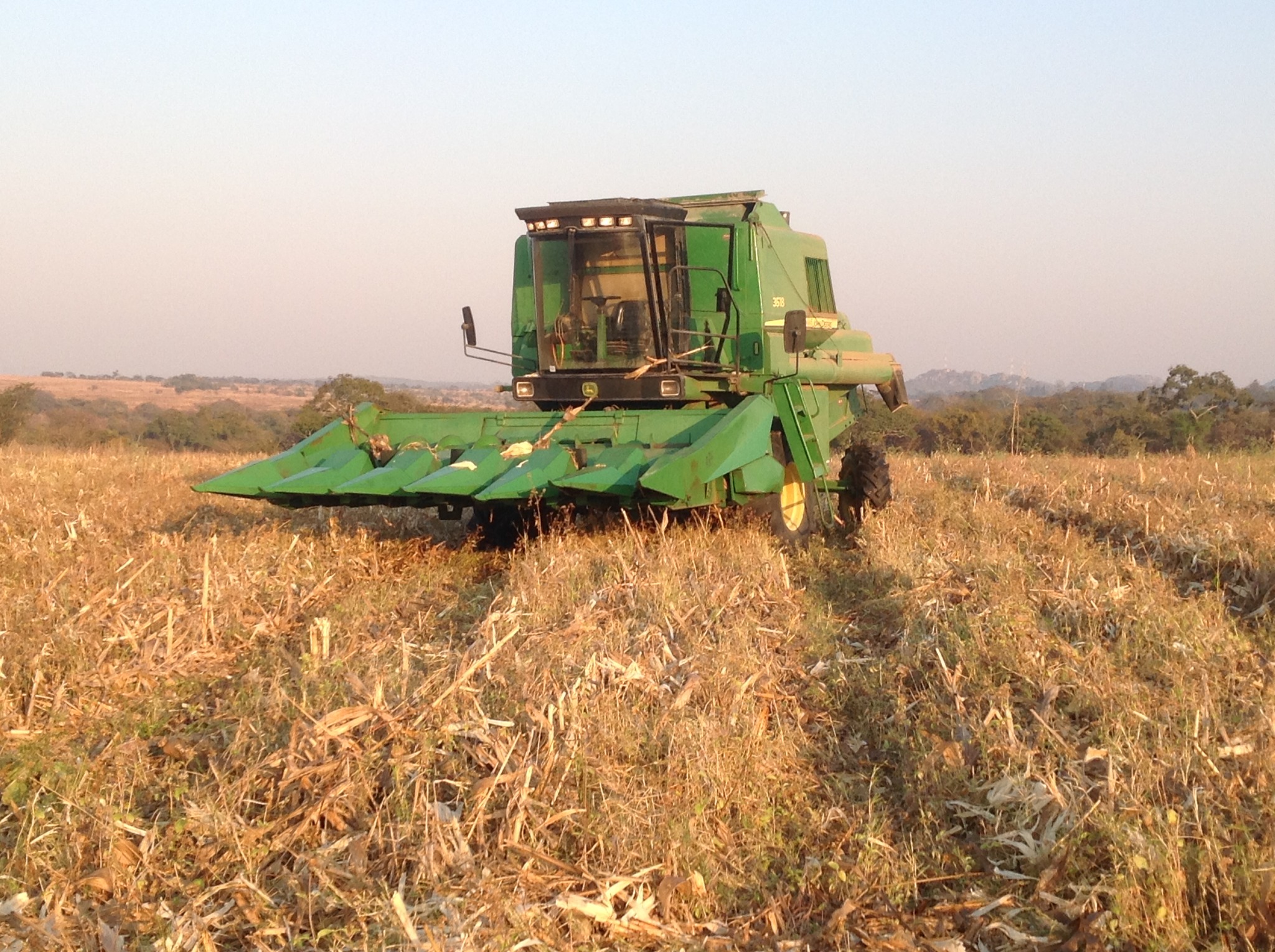 Combine harvester in a field